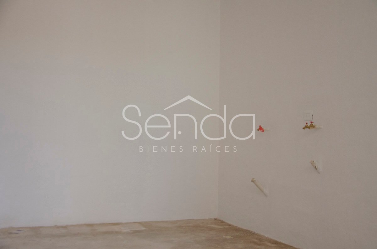 2019-09-10_23_51_20_10_19WE-06_PALMAR IV_13.jpg